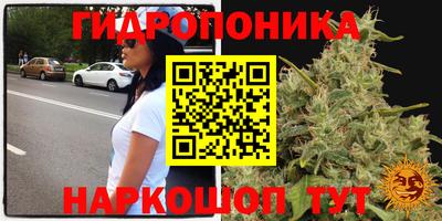 дживик Краснодар