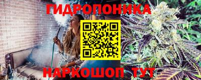 дживик Краснодар