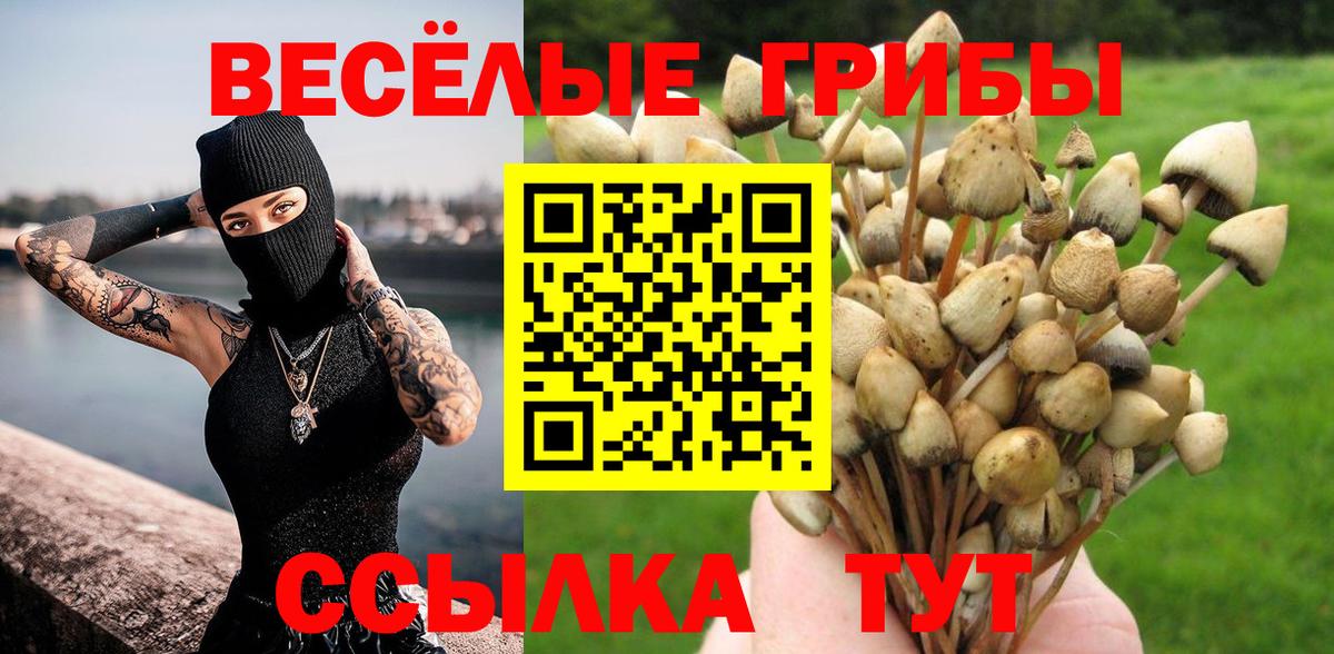 Псилоцибиновые грибы MAGIC MUSHROOMS Котельники